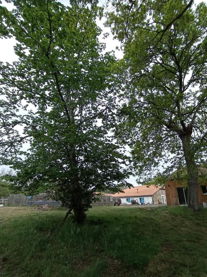 Les Chambres Du Pont Des Chevres Commensacq Eksteriør bilde